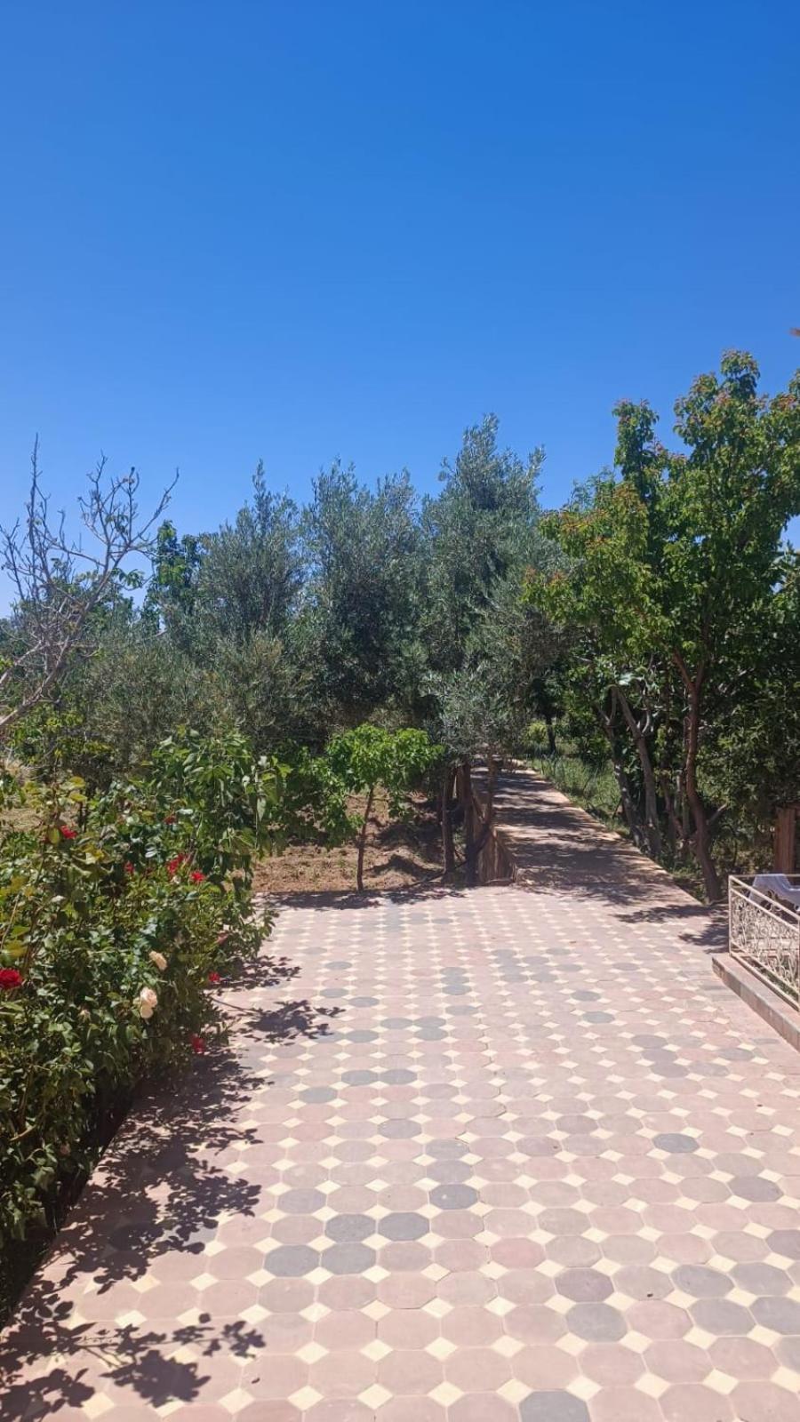 Chez L'Habitant Amazigh ورزازات المظهر الخارجي الصورة