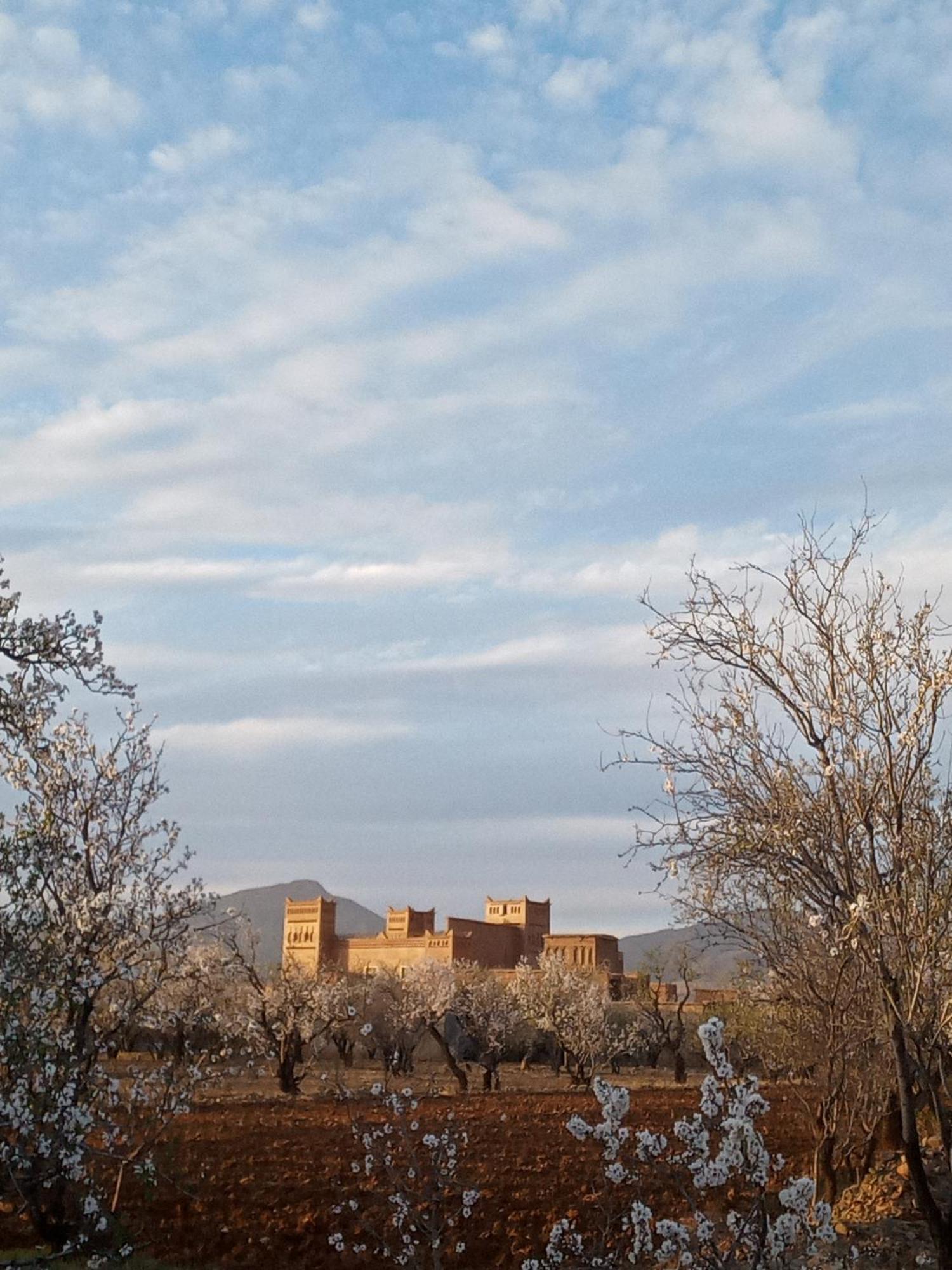 Chez L'Habitant Amazigh ورزازات المظهر الخارجي الصورة